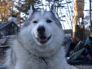 �r�[�{����