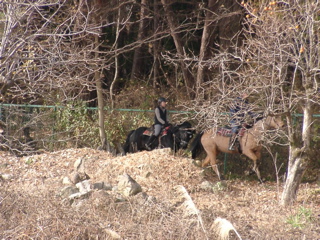 �u���b�N����