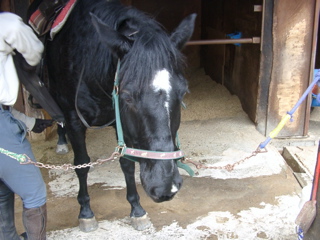 �u���b�N����