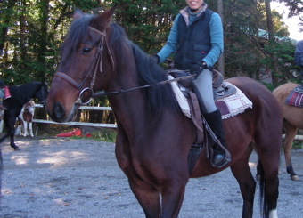 �z�N�����