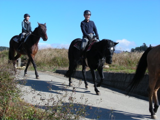 �z�N�����