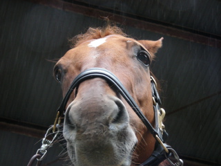 ���[����񋃂������B