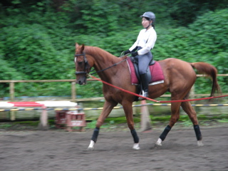 ���n������