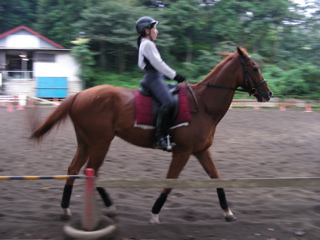 ���n���Ȃ�