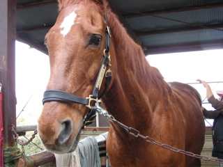 ���[�����A�قց`