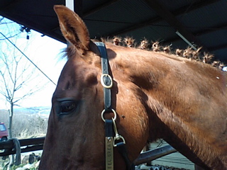 ���[�����҂ݍ���