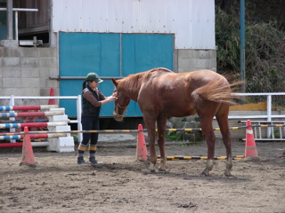 ���[�������q��