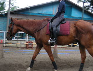 �O���C�g�A���Ò�