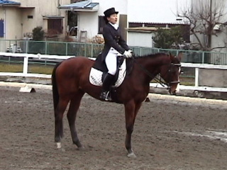 ���̏o��n��y���̔n��