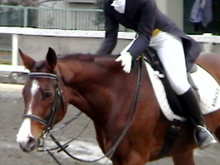 ���̏o��n��y���̔n��