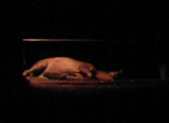 �W���K���H