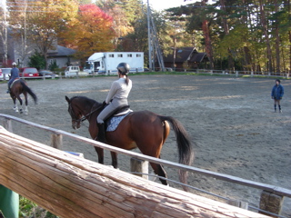 �}�C�l�n�C�}�[�g