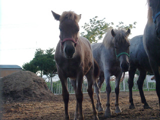 ǂRc