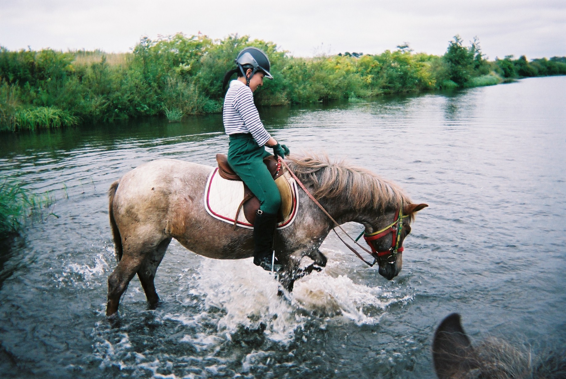 �΂������΂������