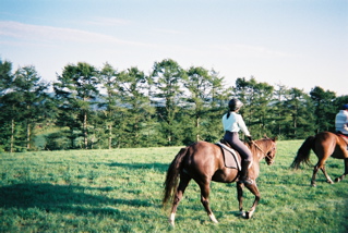 ���S��q��