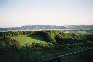 ���S��q��