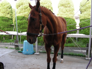 ���[�����