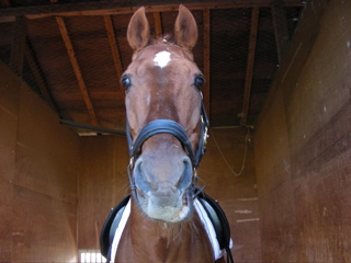 ���[�����