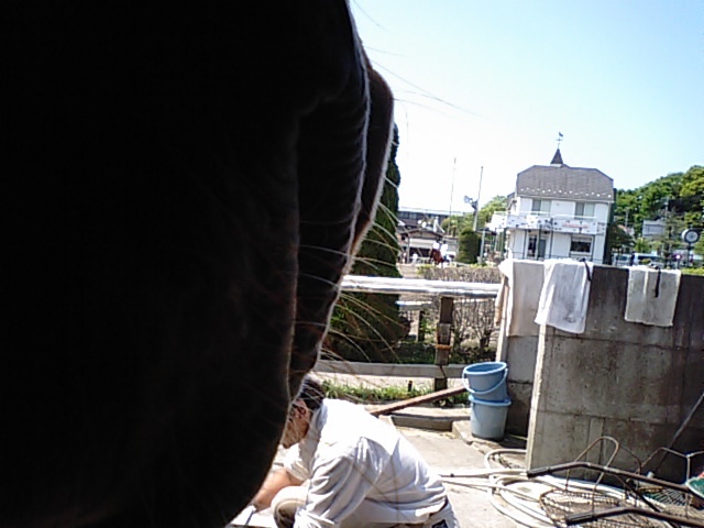 �����q��n��y���̔n��